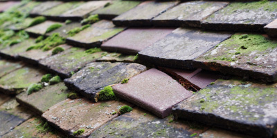 Frocester roof repair costs